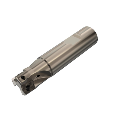 Image for SECO 02769212