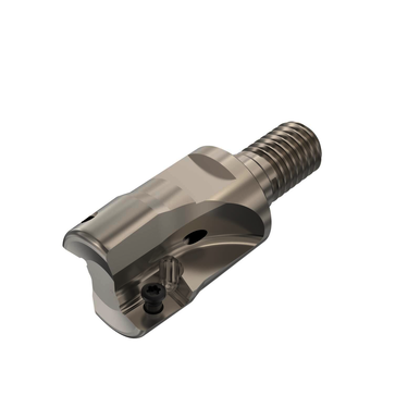 Image for SECO 02769213