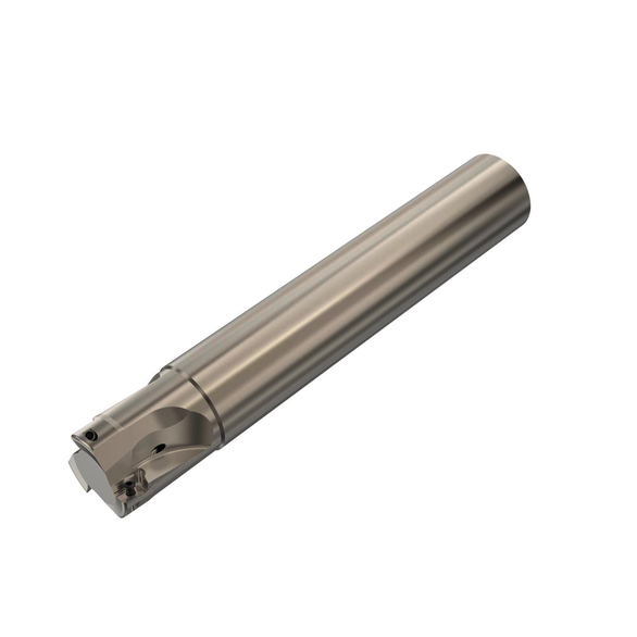 Image for SECO 02769230