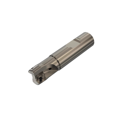 Image for SECO 02772637