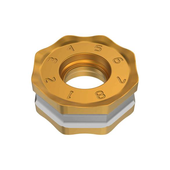 Image for SECO 02809867