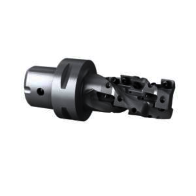 Image for SECO 02829929