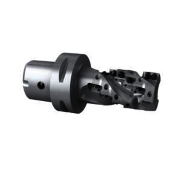 Image for SECO 02829930