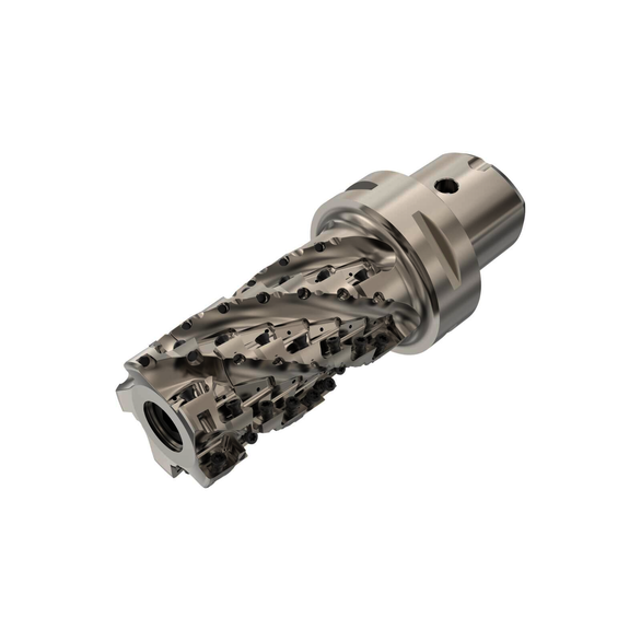 Image for SECO 02829935