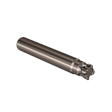 Image for SECO 02842021