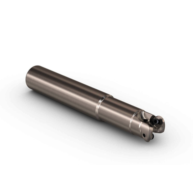 Image for SECO 02949638