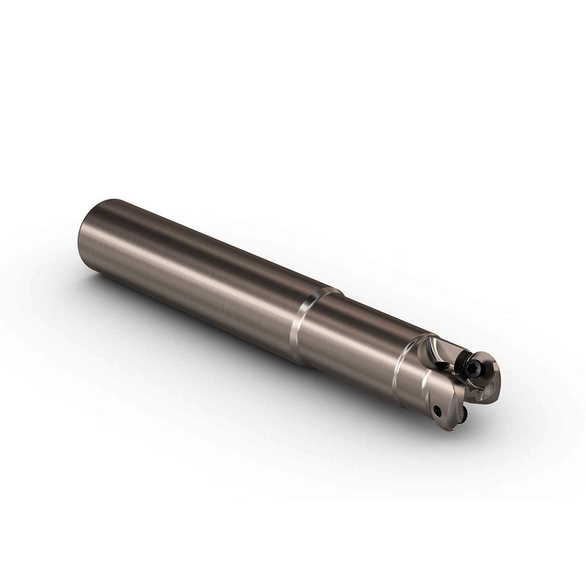 Image for SECO 02949638