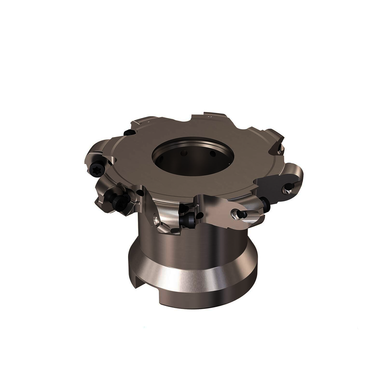 Image for SECO 02988079