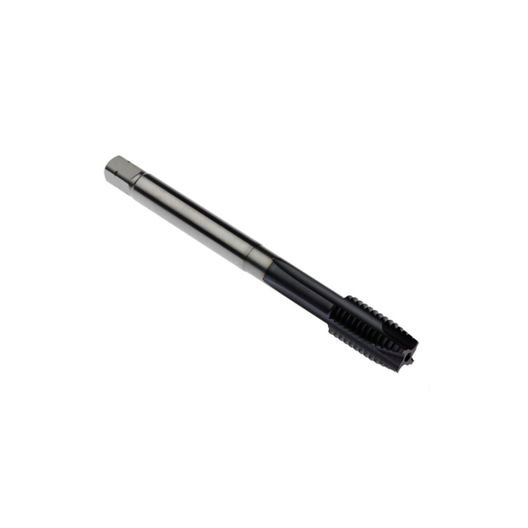 Image for SECO 02999921