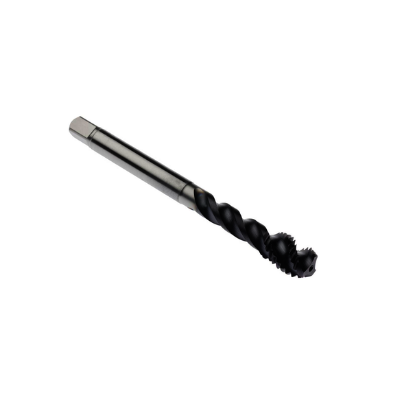 Image for SECO 02999924
