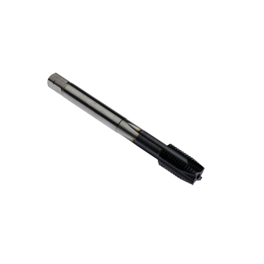 Image for SECO 02999945