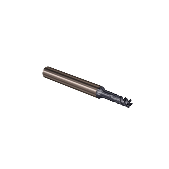 Image for SECO 03029957
