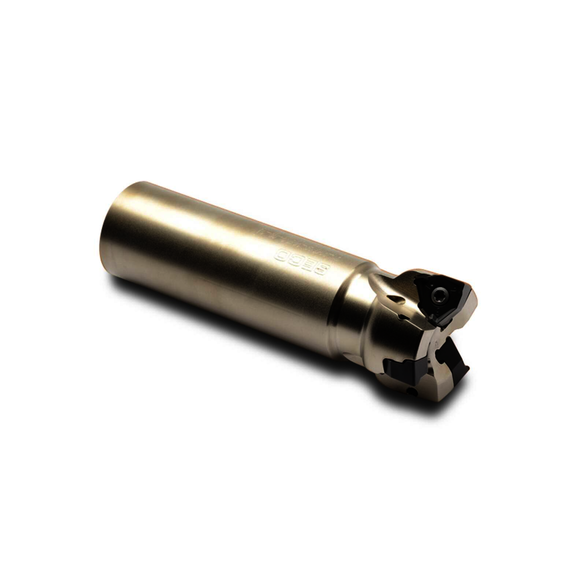 Image for SECO 02642818