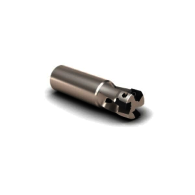 Image for SECO 02688950