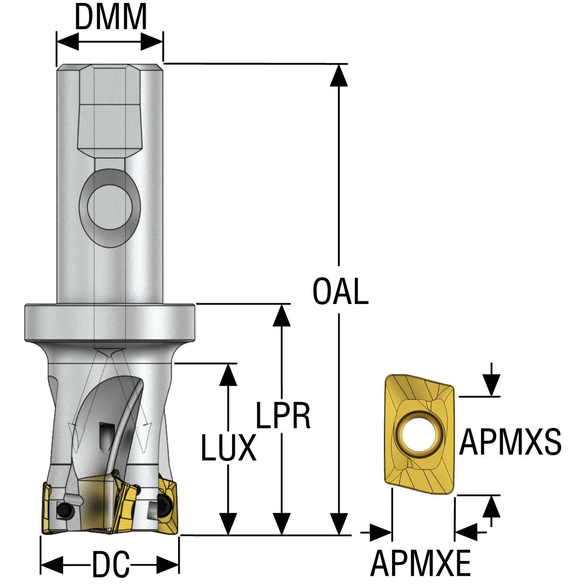 Image for SECO 02688996