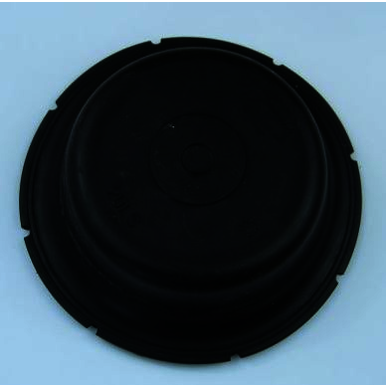 Image for SIGNOD 306685