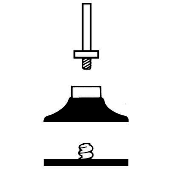 Image for STAABR 592405