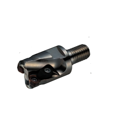 Image for SUMI 2900722