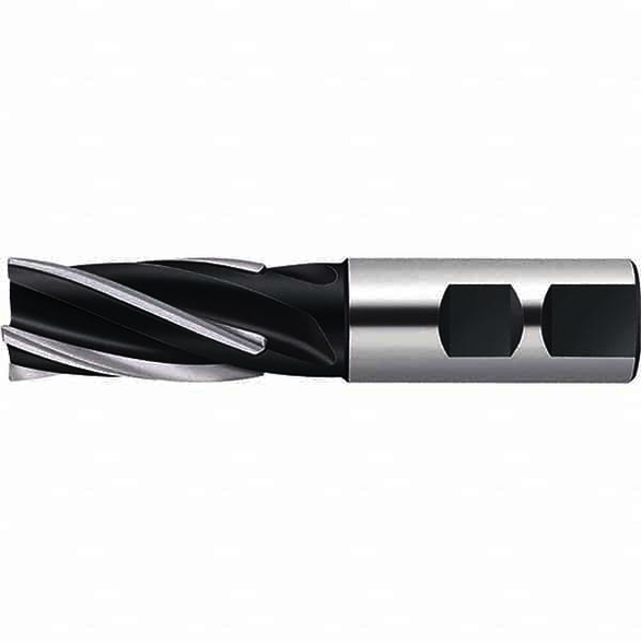 Image for WALTER 5001577