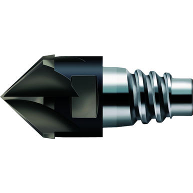 Image for WALTER 5927026