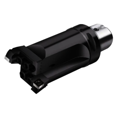 Image for WALTER 6431475