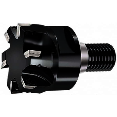 Image for WALTER 6556116