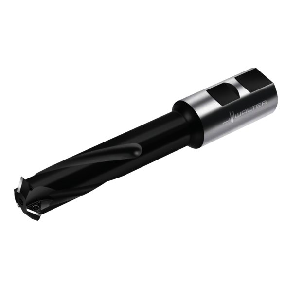 Image for WALTER 7493799