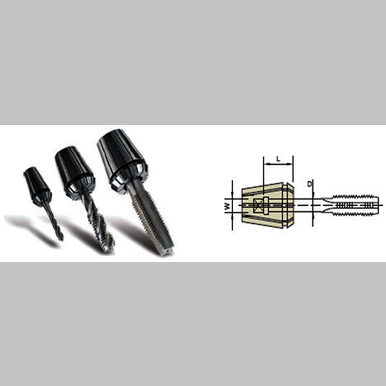 TAP ER COLLET - INCN TYPE FOR STANDARD